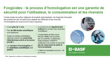 fongicides, quel est le process d'homologation